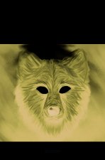 Loup