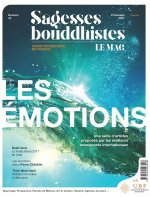 Sagesses Bouddhistes : Les Emotions - T2