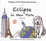 Eclipse in New York