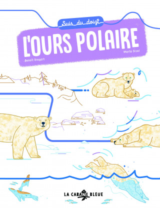 Suis du doigt l'ours polaire