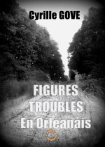 Figures troubles en Orleanais