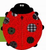 Je compte avec Mam'zelle Coccinelle