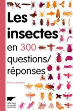 Les Insectes en 300 questions réponses