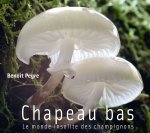 CHAPEAU BAS, le monde insolite des champignons