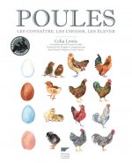 Poules