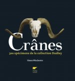 Crânes