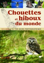 Chouettes et hiboux du monde