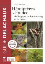 Hémiptères de France