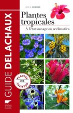 Plantes tropicales  (nvelle éd)