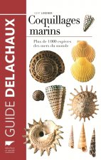 Coquillages marins  (nvelle éd)