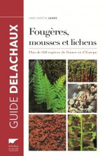 Fougères, mousses et lichens   (réédition)