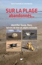 Sur la plage abandonnés
