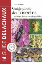 Guide photo des insectes