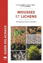 Mousses et lichens