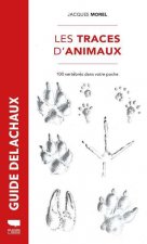 Traces d'animaux