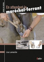 En attendant le maréchal-ferrant