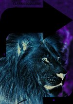 Le Lion
