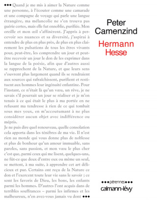 PETER CAMENZIND