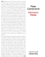 PETER CAMENZIND