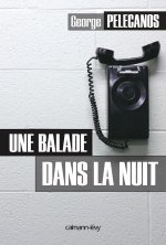 UNE BALADE DANS LA NUIT