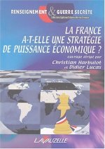 LA FRANCE A  T ELLE UNE STRATEGIE DE PUISSANCE ECONOMIQUE