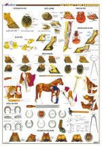 Planche hippologie - LA FERRURE