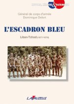 L'Escadron bleu, Liban - Tchad (1977-1979)