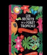 Les secrets de la forêt tropicale - Un livre magique à éclairer
