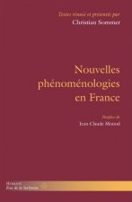 Nouvelles phénoménologies en France