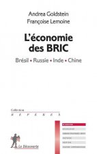 L'économie des BRIC