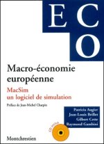 MACRO-ÉCONOMIE EUROPÉENNE - MACSIM, UN LOGICIEL DE SIMULATION (LIVRE + CD)