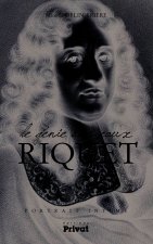 Riquet, le génie des eaux