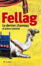 Le dernier chameau et autres histoires