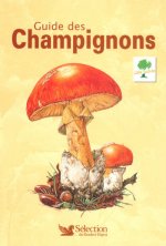 Guide des champignons - Côté nature