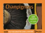 Coffret Champignons : guide + couteau à champignons