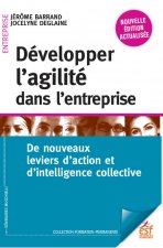DEVELOPPER L AGILITE EN ENTREPRISE NED