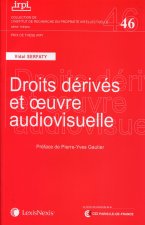 Les droits dérivés de l'oeuvre audiovisuelle