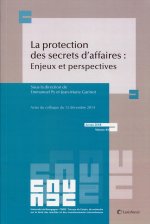La protection des secrets des affaires : enjeux et perspectives
