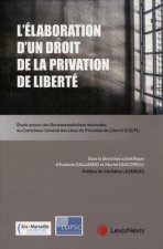 L'élaboration d'un droit de la privation de liberté