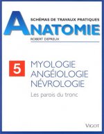 ANATOMIE MYOLOGIE N5