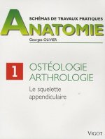 ANATOMIE OSTEOLOGIE  ARTHROLOGIE 1