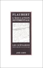 L EDUCATION SENTIMENTALE