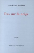 Pas sur la neige