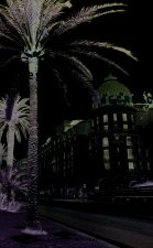 Le goût de Nice