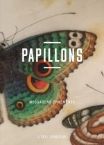Papillons - Messagers éphémères - L'oeil curieux