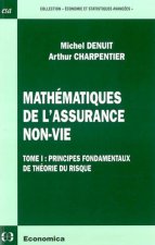 Mathématiques de l'assurance non-vie