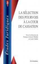 La sélection des pourvois à la Cour de cassation - quelle mission pour la Cour de cassation ?