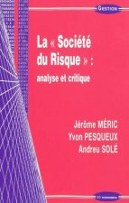 La société du risque - analyse et critique