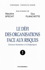 Le défi des organisations face aux risques - sciences humaines et cindyniques