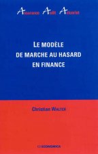 Le modèle de marché au hasard en finance